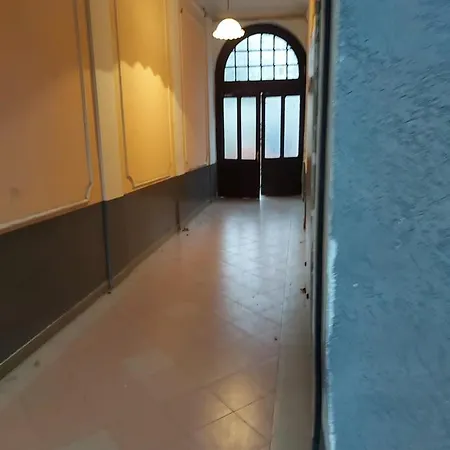 Mikikiki Belgrade